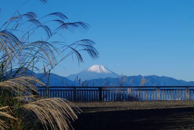 Mt. Fuji